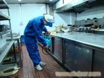 专业灭鼠服务 守护餐饮仓储与企业安全的要害防线